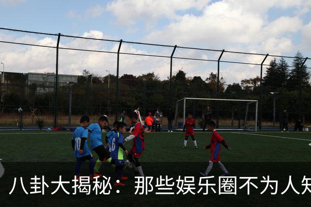 八卦大揭秘：那些娱乐圈不为人知的小秘密