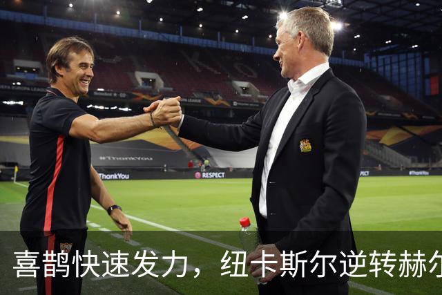 喜鹊快速发力，纽卡斯尔逆转赫尔城争夺战